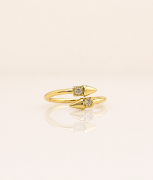 Aro Ring