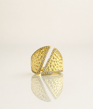 Fissure Ring