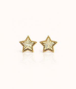 Star Earring