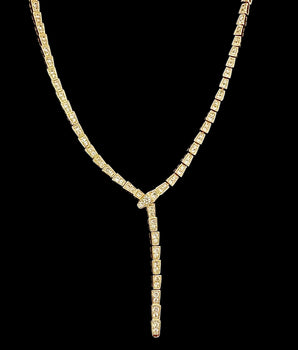 Elegant Snake Necklace