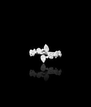 Arlo Ring