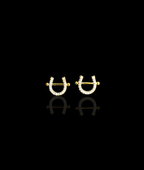 Sparkle Earrings